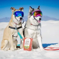 Stella & Chewy's Raw Coated Biscuit Freeze Dried Dog Treat