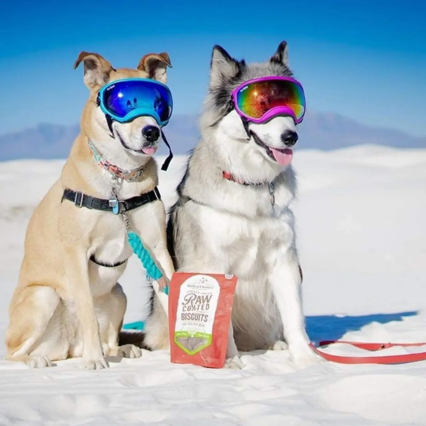 Stella & Chewy's Raw Coated Biscuit Freeze Dried Dog Treat