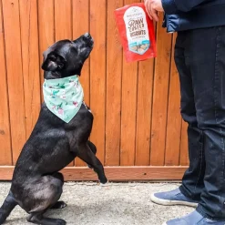Stella & Chewy's Raw Coated Biscuit Freeze Dried Dog Treat
