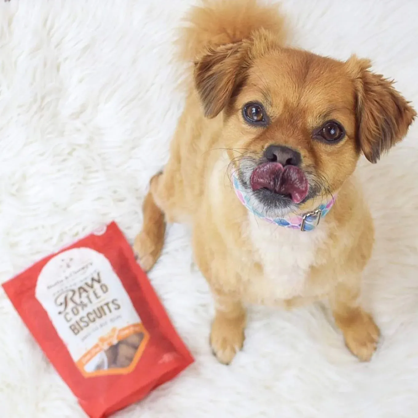 Stella & Chewy's Raw Coated Biscuit Freeze Dried Dog Treat