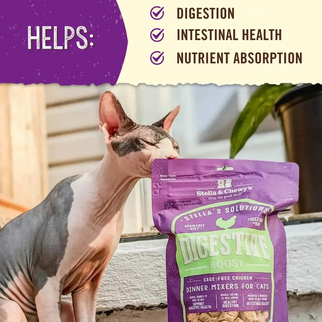 Stella & Chewy's Stella's Solutions Digestive Support Freeze Dried Cat Food