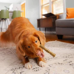 Stella & Chewy's Dental Delights for Dogs