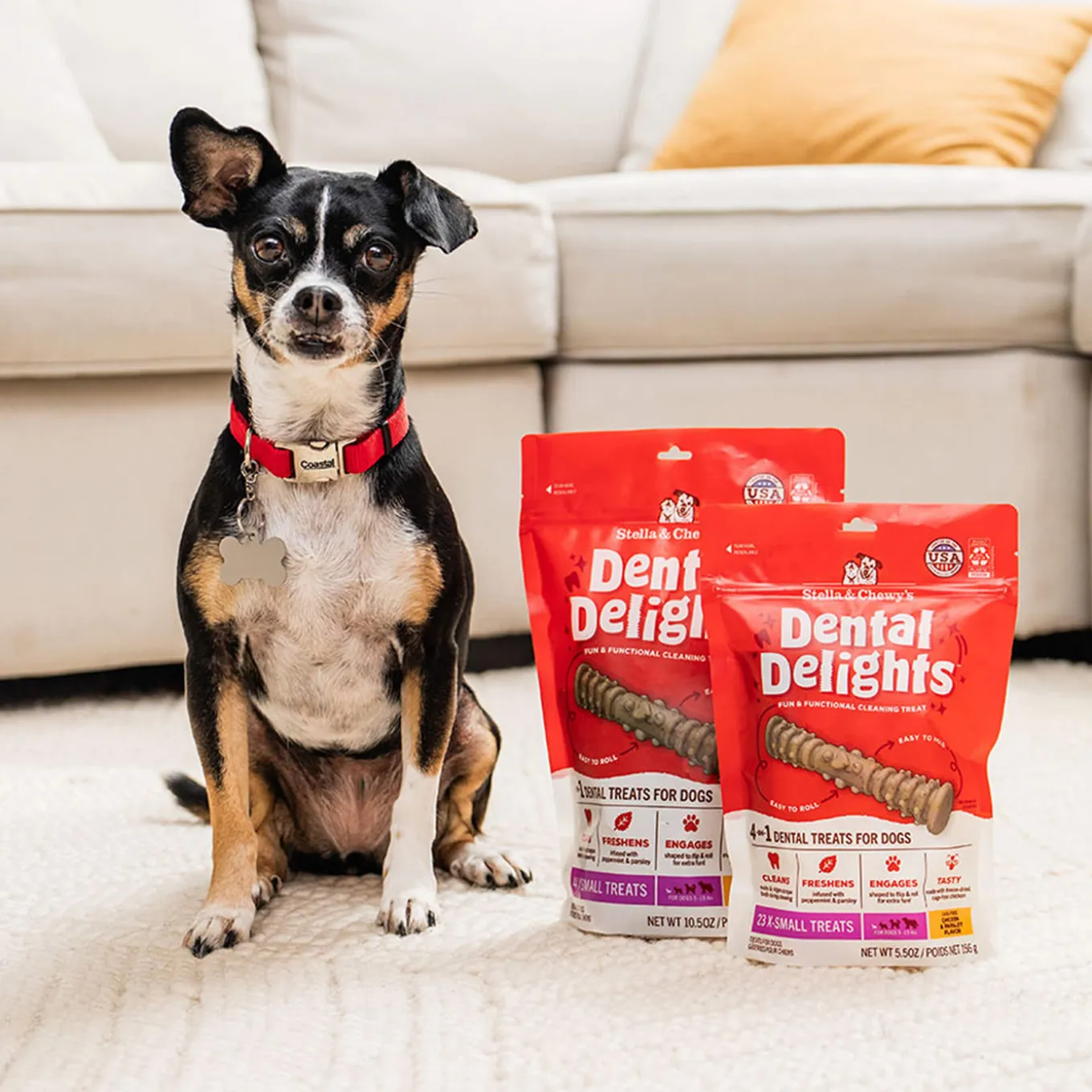 Stella & Chewy's Dental Delights for Dogs