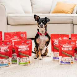 Stella & Chewy's Dental Delights for Dogs