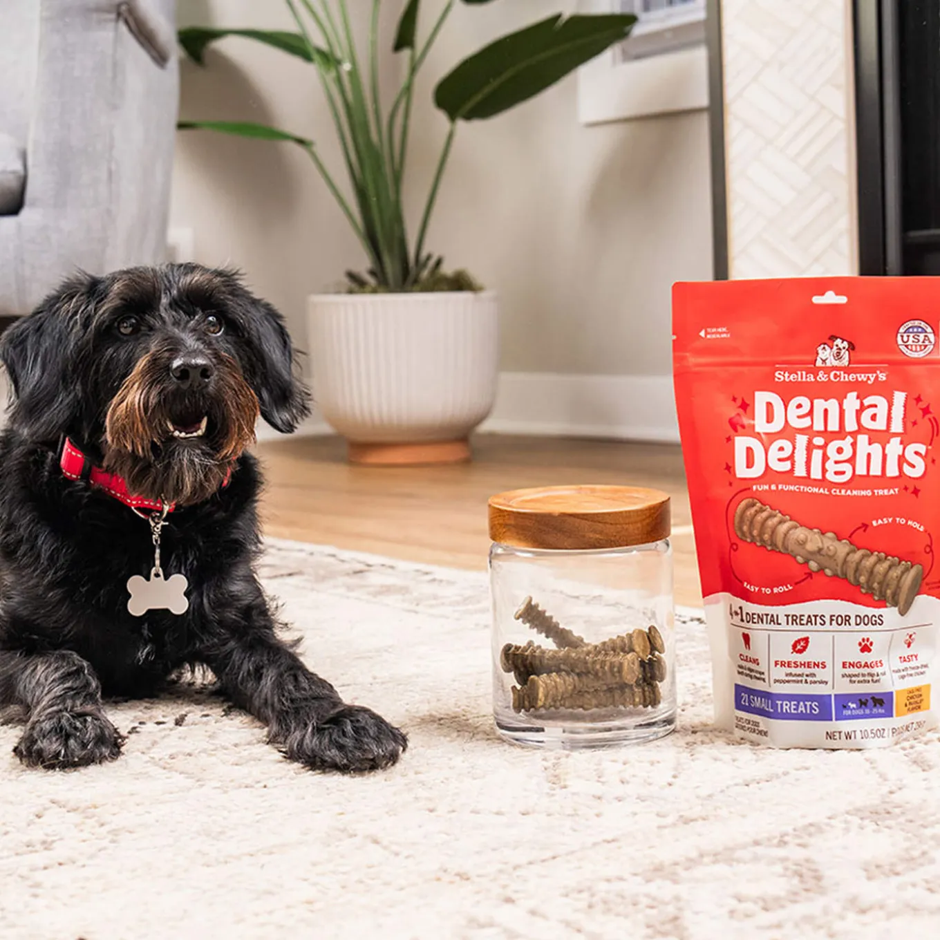 Stella & Chewy's Dental Delights for Dogs