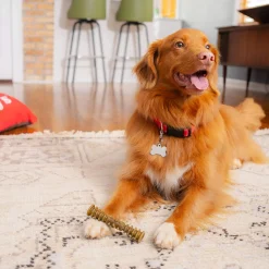 Stella & Chewy's Dental Delights for Dogs