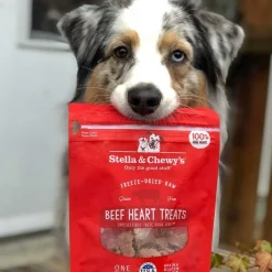 Stella & Chewy's Freeze-Dried Raw Single Ingredient Treats