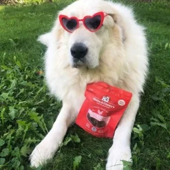 Stella & Chewy's Freeze-Dried Raw Single Ingredient Treats