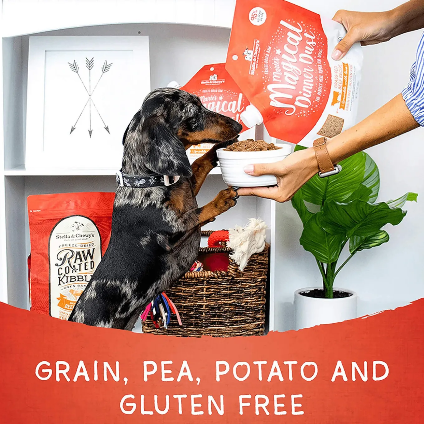 Stella & Chewy's Magical Dinner Dust Food Topper