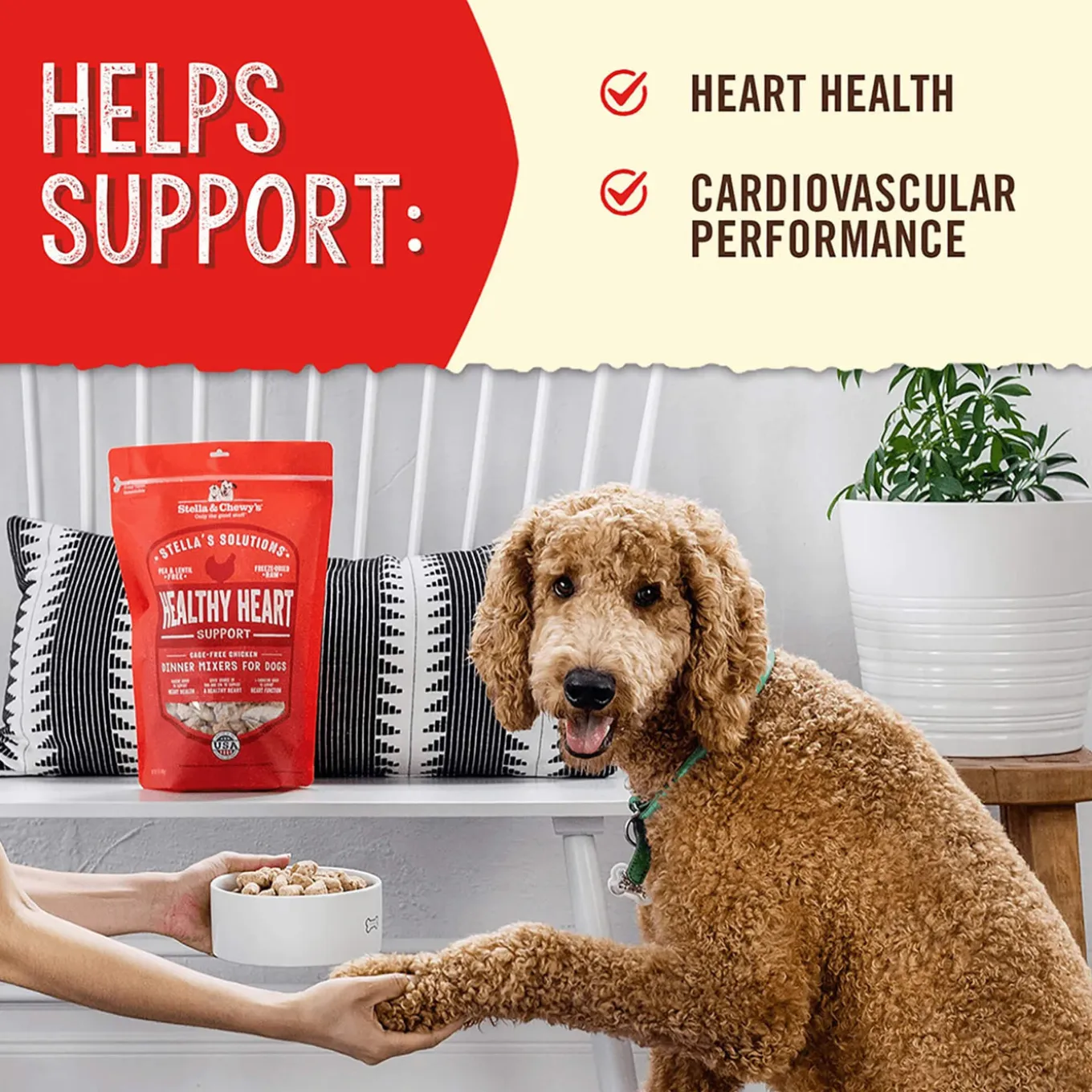 Stella & Chewy's Stella's Solutions Healthy Heart Support Dog Food Topper