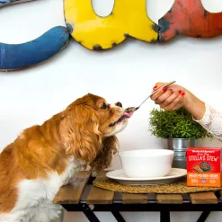 Stella & Chewy's Stew Wet Food for Dogs Case of 12