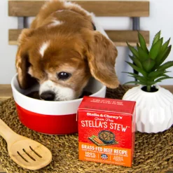 Stella & Chewy's Stew Wet Food for Dogs Case of 12