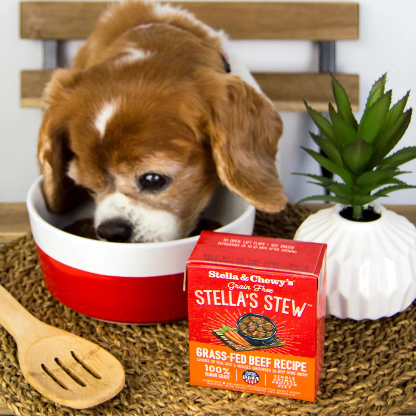 Stella & Chewy's Stew Wet Food for Dogs Case of 12