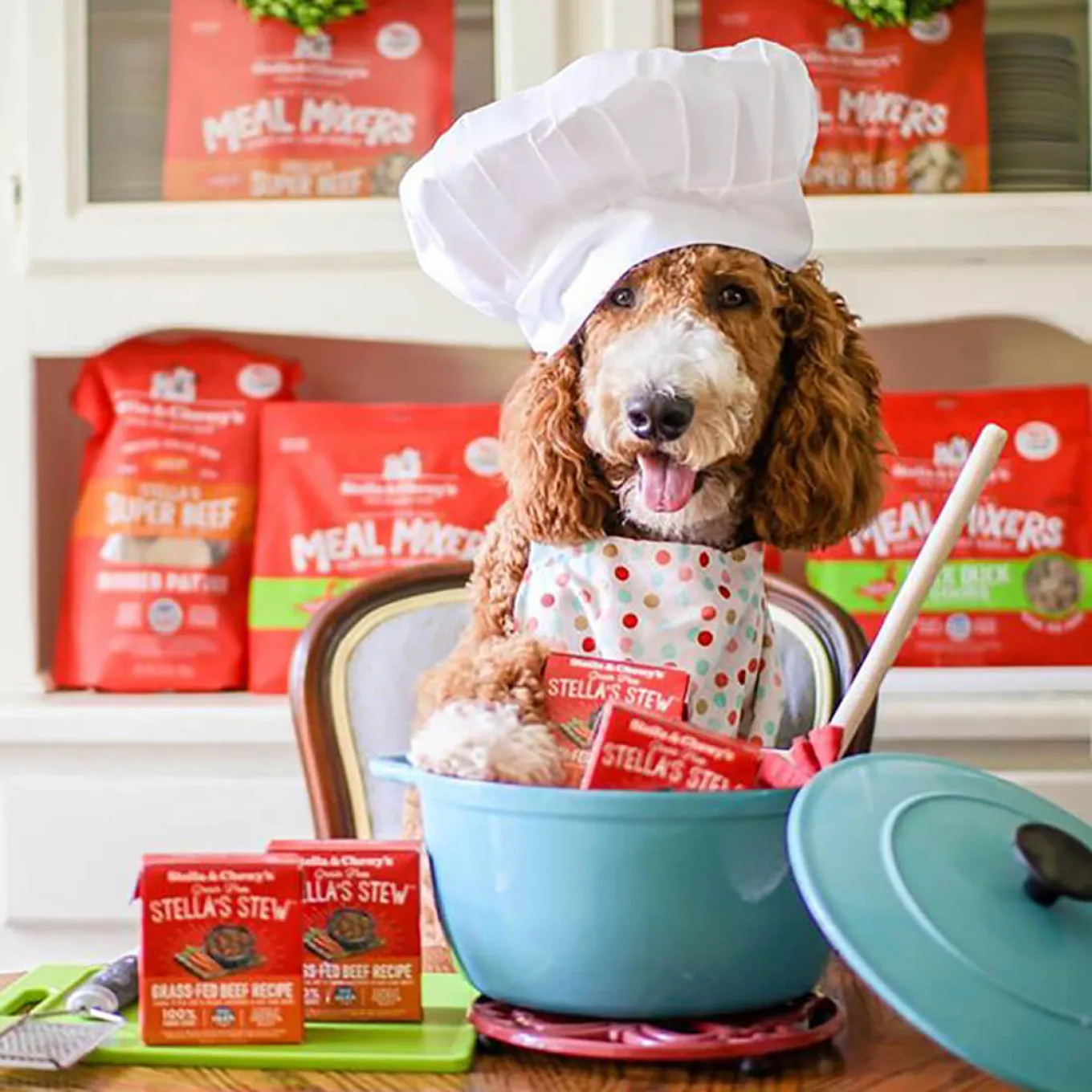 Stella & Chewy's Stew Wet Food for Dogs Case of 12