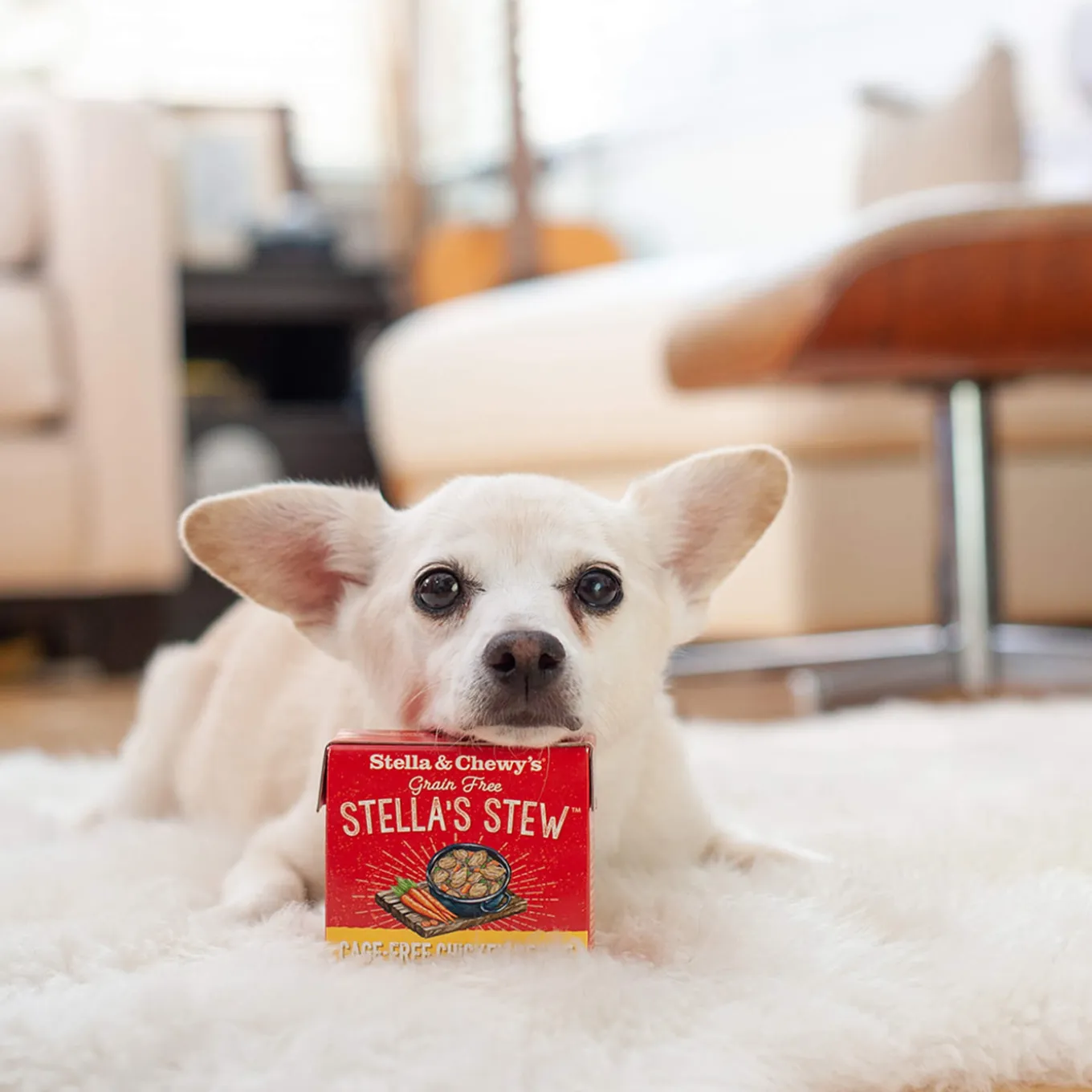 Stella & Chewy's Stew Wet Food for Dogs Case of 12