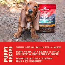 Stella & Chewy's Wild Red Raw Coated Grain Free Dry Dog Food