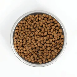 Stella & Chewy's Wild Red Raw Coated Wholesome Grains Dry Dog Food