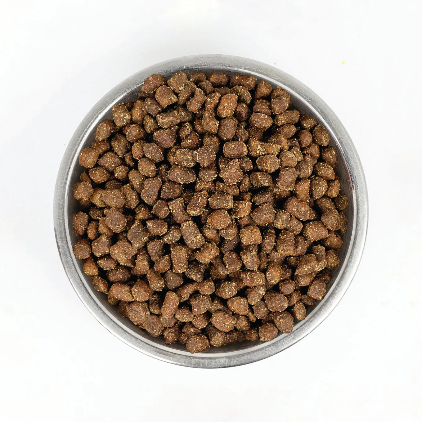 Stella & Chewy's Wild Red Raw Coated Wholesome Grains Dry Dog Food