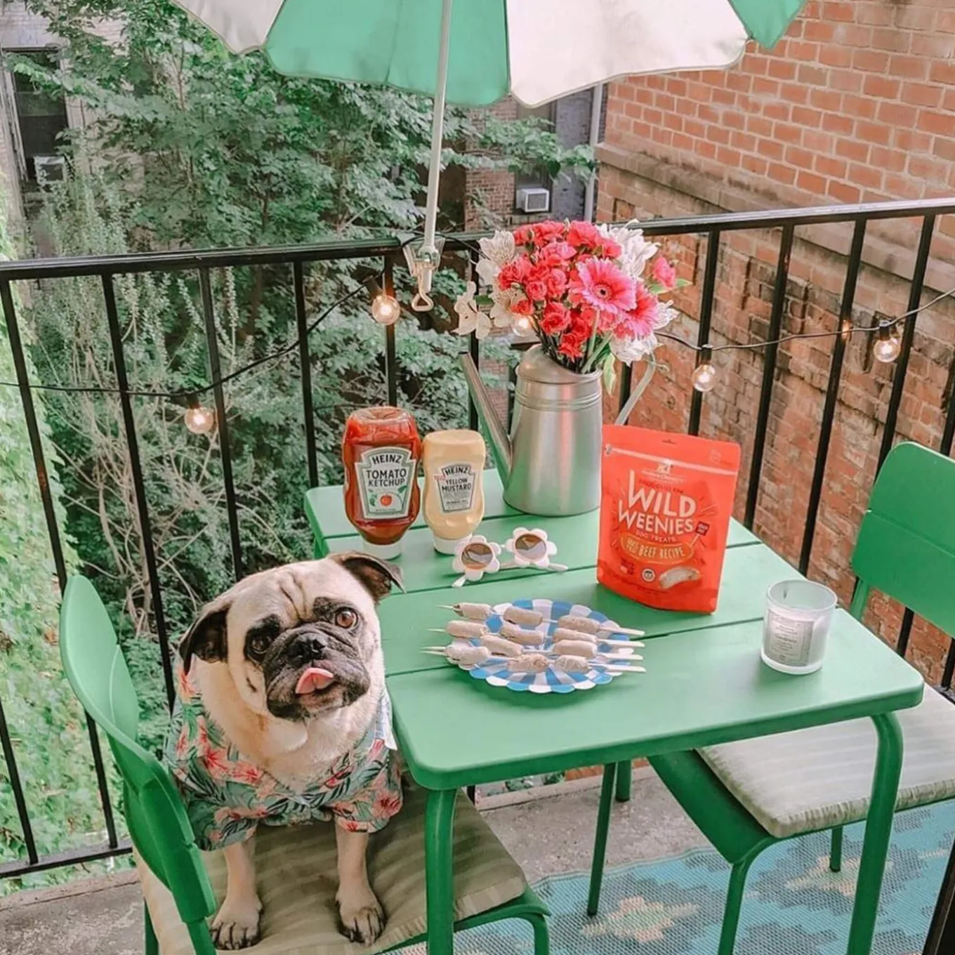 Stella & Chewy's Wild Weenies Raw Freeze-Dried Dog Treats