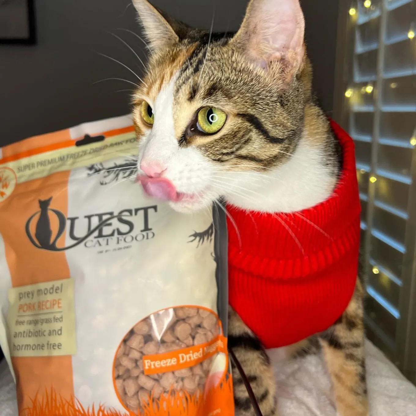 Steve's Real Food Cat Quest Freeze Dried