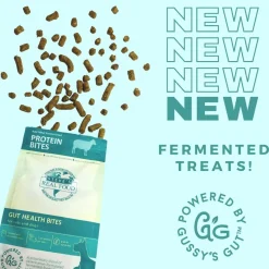 Steve's Real Food Probiotic Protein Bites