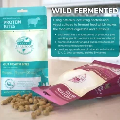 Steve's Real Food Probiotic Protein Bites