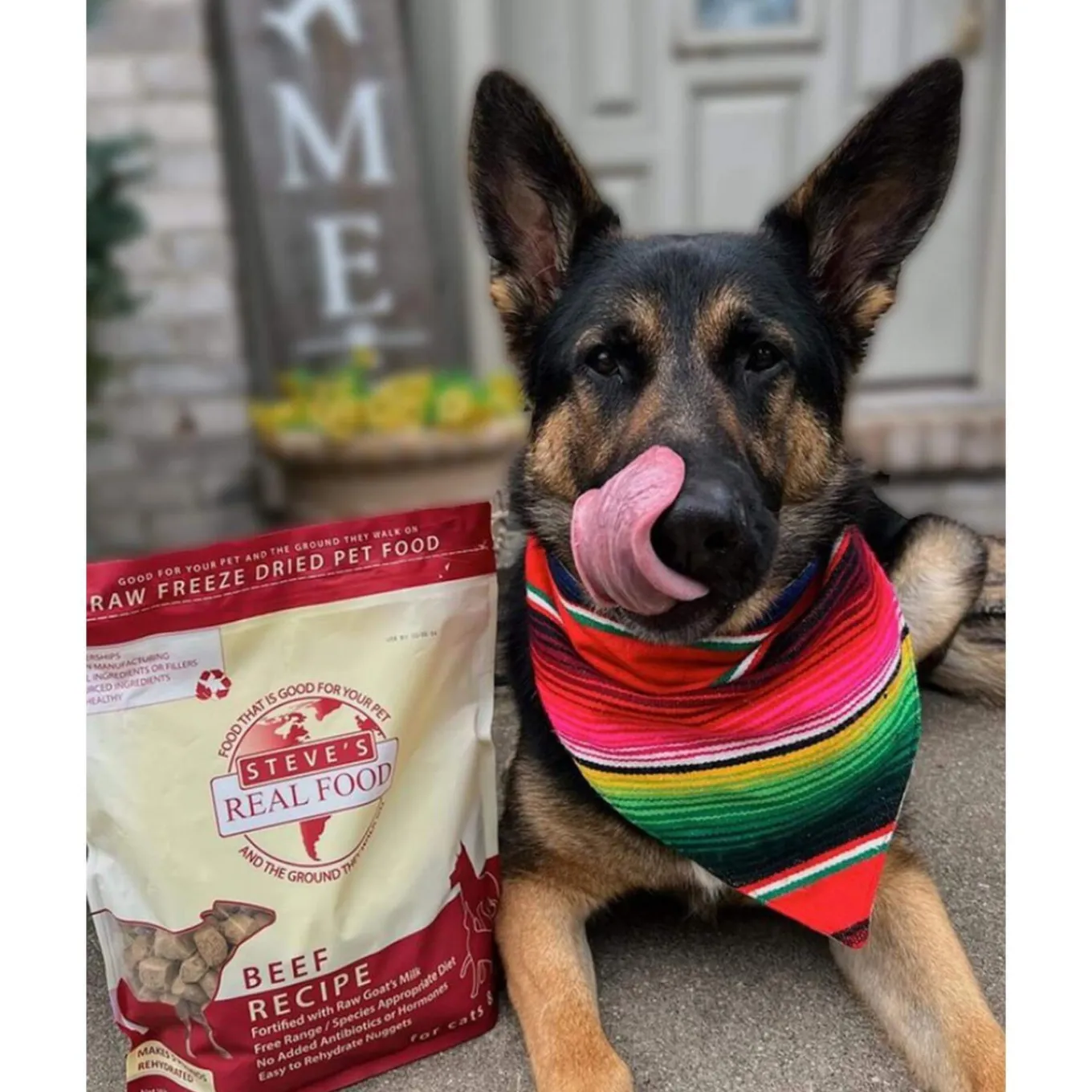 Steve's Real Food 1.25 lb Freeze Dried Nuggets for Dogs