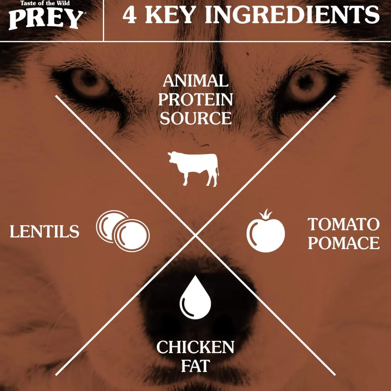 Taste of the Wild Prey Dog Dry Food