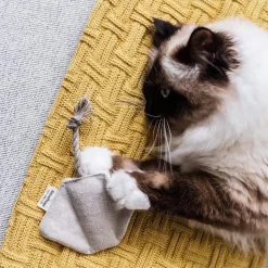 The Kind Pet Hemp Canvas Cat Toys