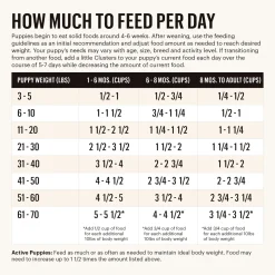 The Honest Kitchen Grain Free Whole Food Clusters for Puppies