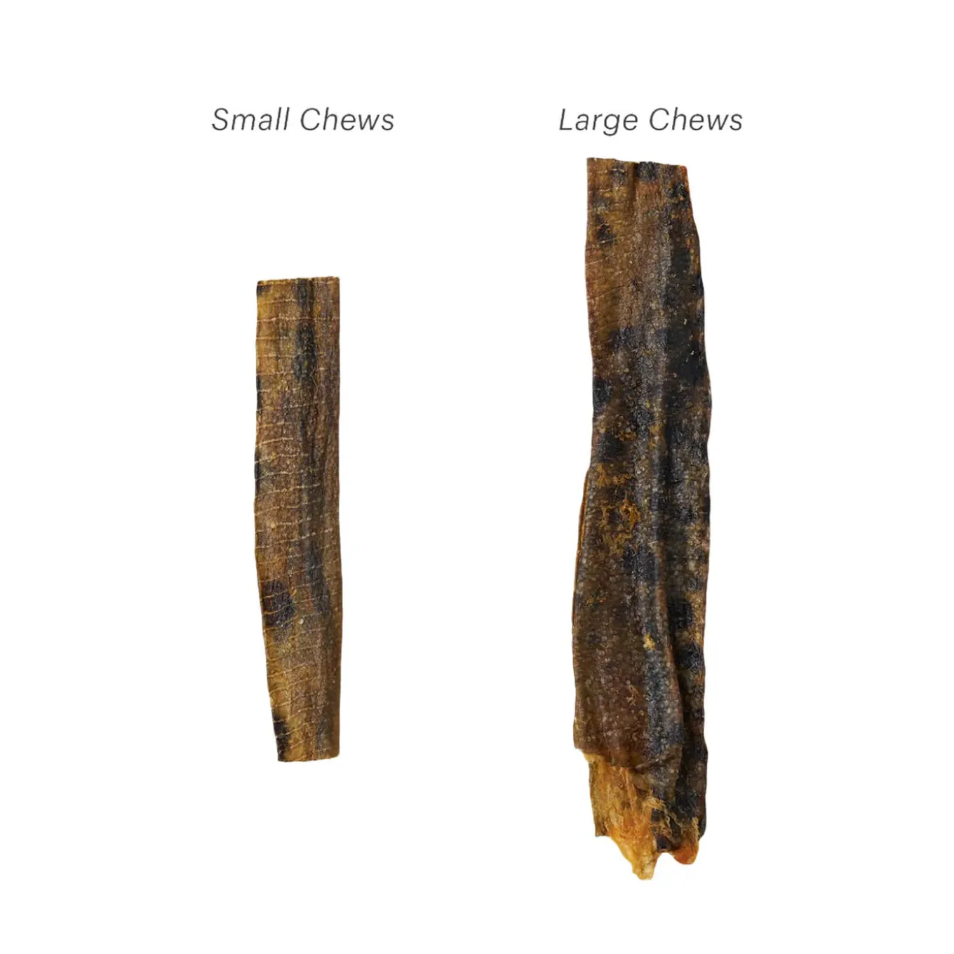 The Honest Kitchen Ocean Dog Chews