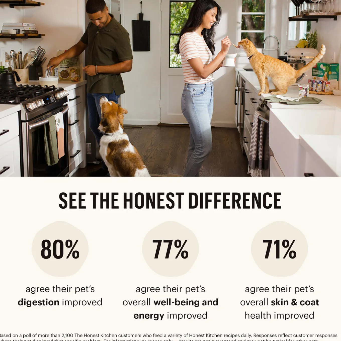 The Honest Kitchen One Pot Stew Dog Wet Food
