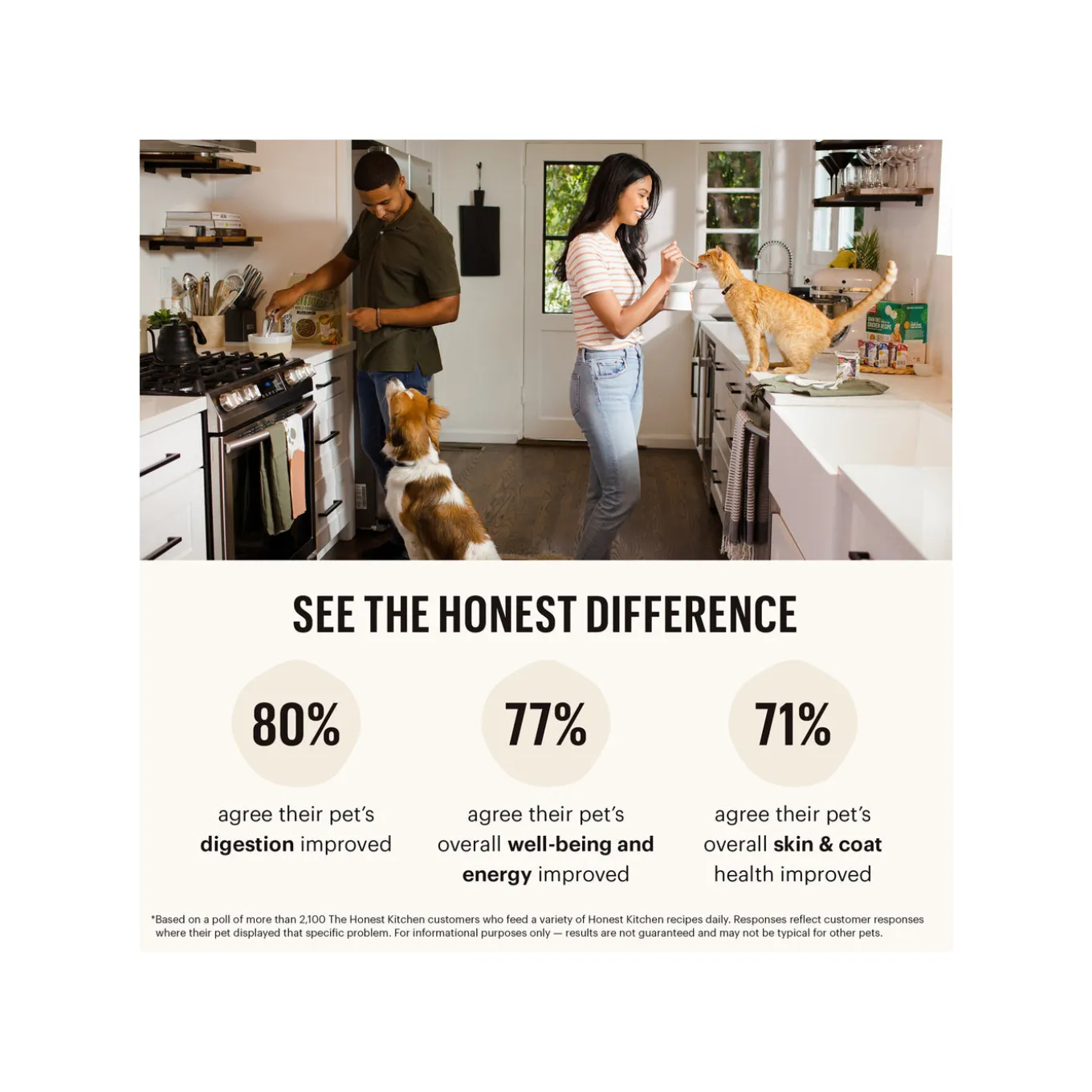 The Honest Kitchen Whole Grain Food Clusters Small Breed Dog Food