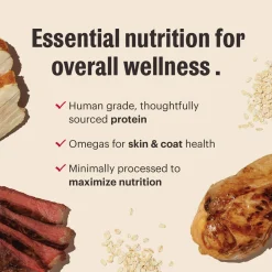 The Honest Kitchen Whole Grain Essential Clusters Dog Food