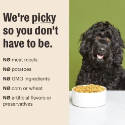The Honest Kitchen Whole Grain Essential Clusters Dog Food