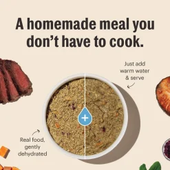 The Honest Kitchen Wholemade Grain Free Dehydrated Dog Food
