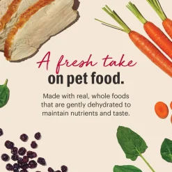 The Honest Kitchen Wholemade Grain Free Dehydrated Dog Food