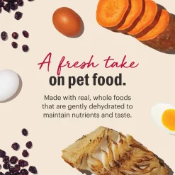 The Honest Kitchen Wholemade Grain Free Dehydrated Dog Food