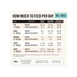 The Honest Kitchen Wholemade Gourmet Grains Dehydrated Dog Food