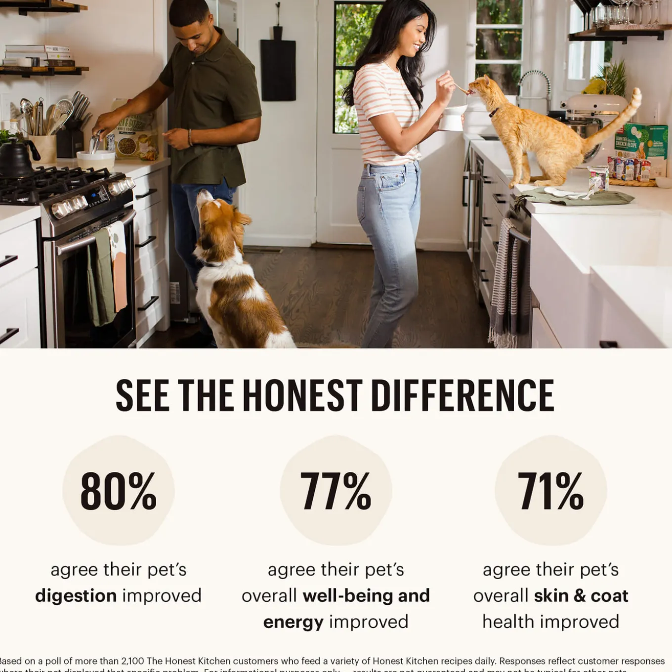 The Honest Kitchen Wholemade Whole Grain Dehydrated Dog Food