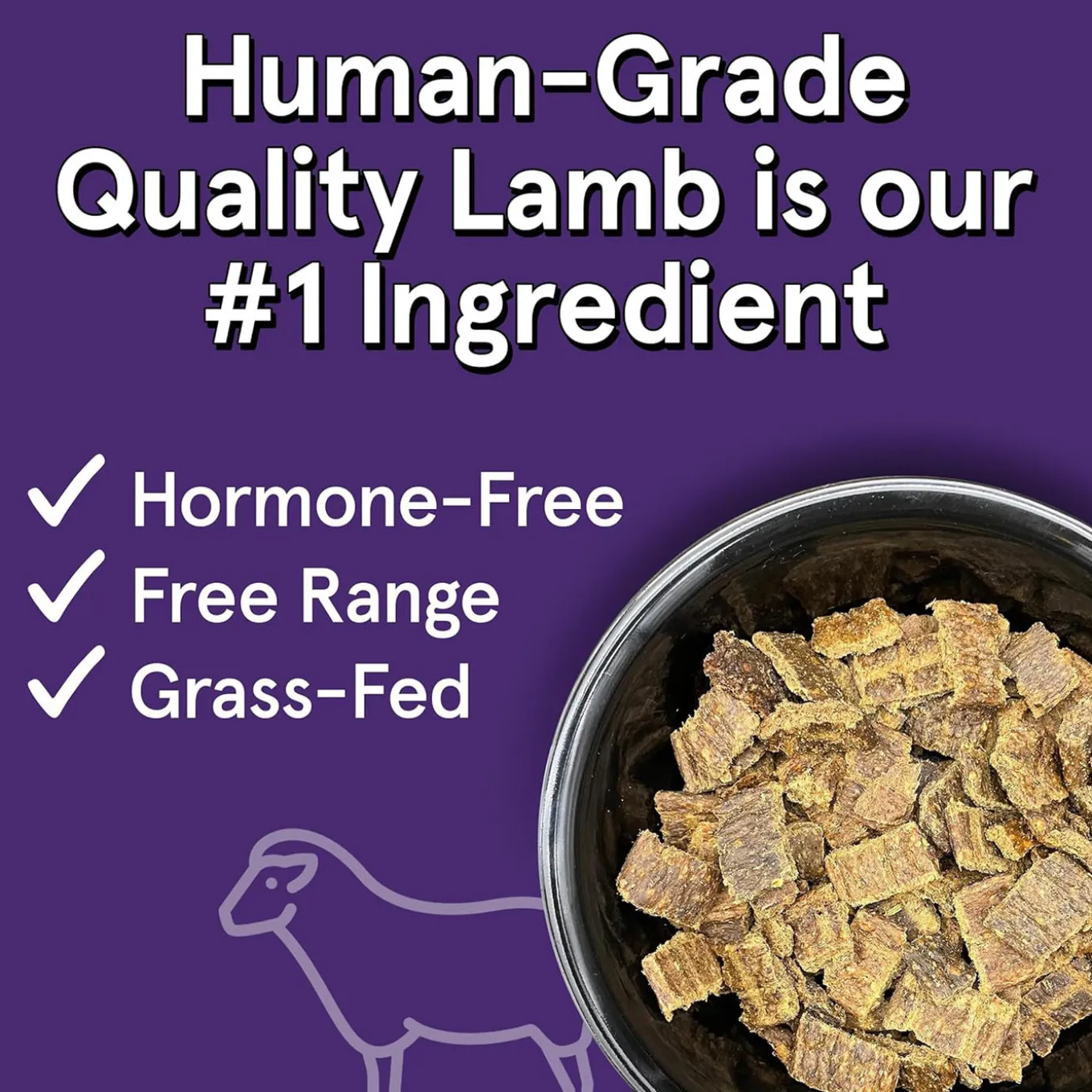 The Real Meat Company Air-Dried Jerky Dog Food