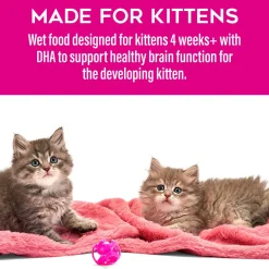 Tiki Cat Baby Pate Kitten Wet Cat Food