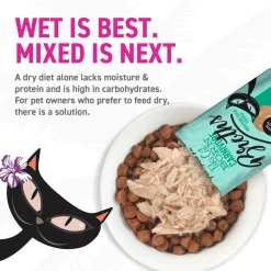 Tiki Cat Born Carnivore Broths Wet Cat Food Topper