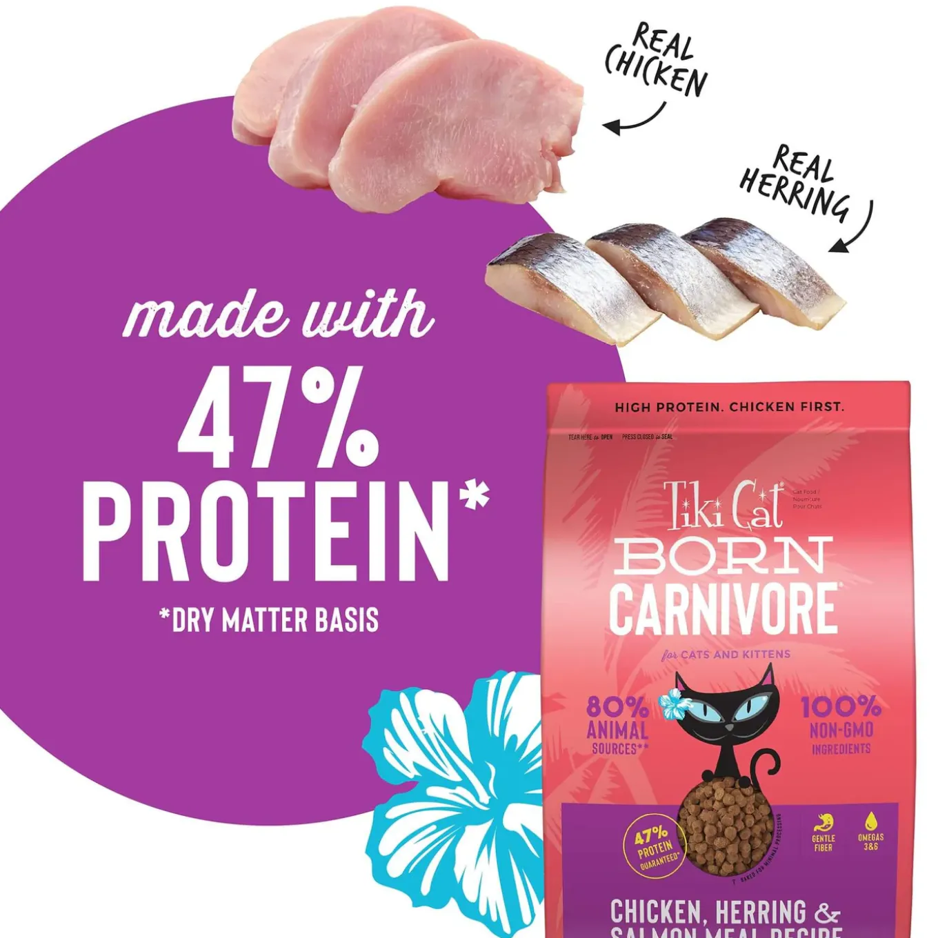 Tiki Cat Born Carnivore Dry Cat Food