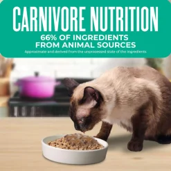 Tiki Cat Born Carnivore Indoor Health Grain-Free Dry Cat Food