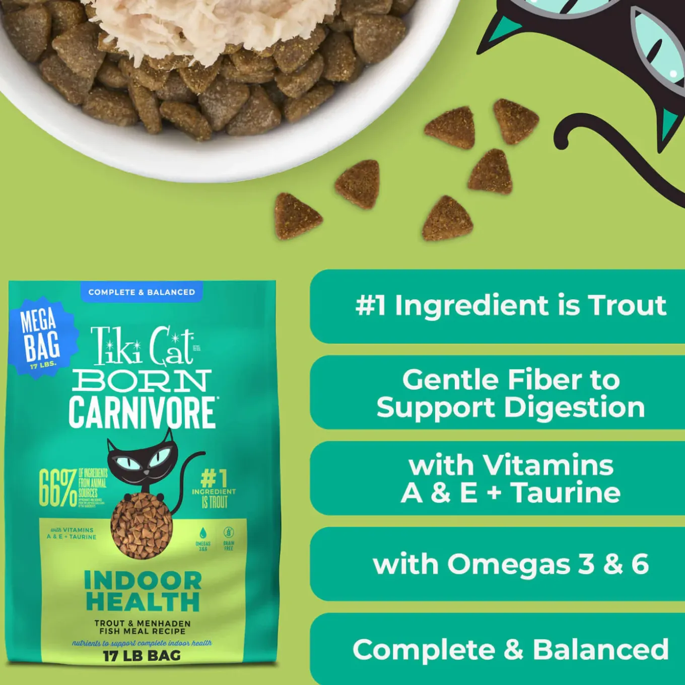 Tiki Cat Born Carnivore Indoor Health Grain-Free Dry Cat Food