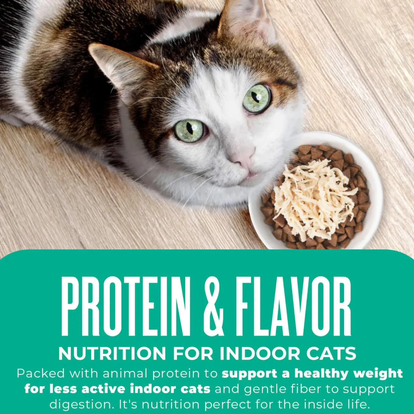 Tiki Cat Born Carnivore Indoor Health Grain-Free Dry Cat Food