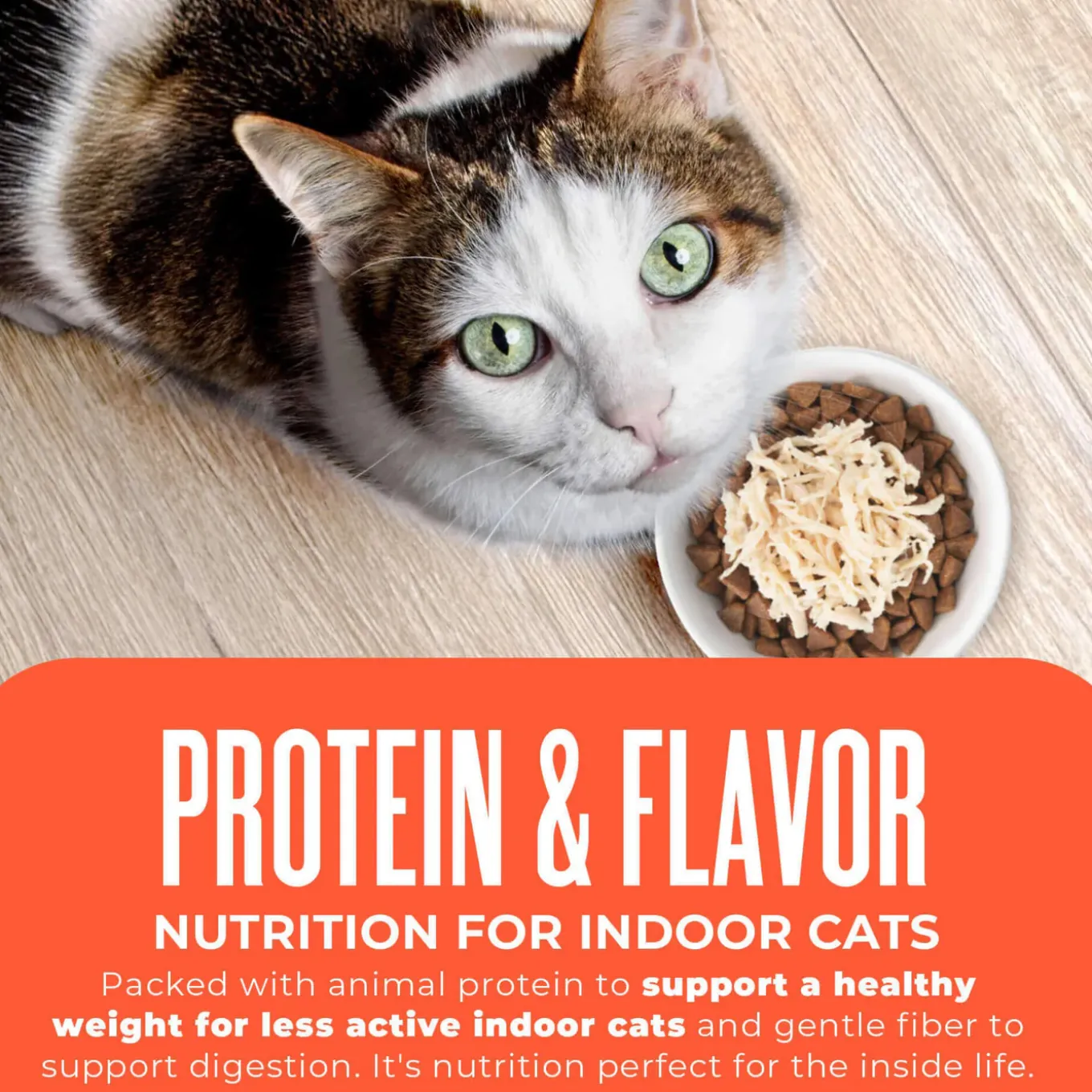Tiki Cat Born Carnivore Indoor Health Grain-Free Dry Cat Food