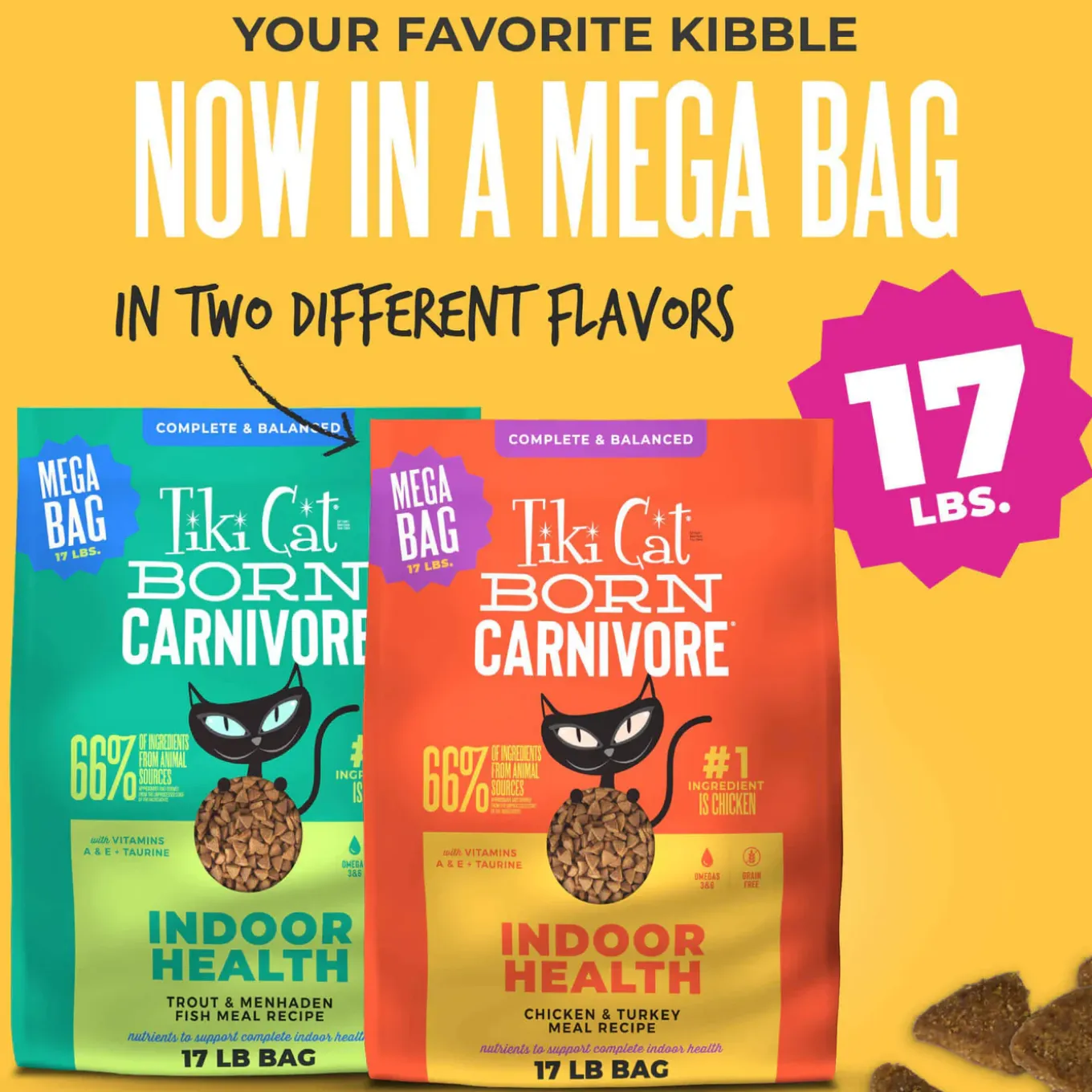 Tiki Cat Born Carnivore Indoor Health Grain-Free Dry Cat Food