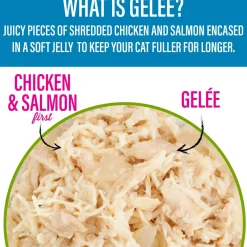 Tiki Cat Gelee Lean Wet Cat Food